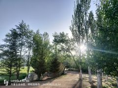 -乌素图国家森林公园