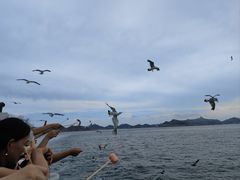 -海驴岛(荣成市)