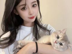 -青奢宠物·青奢猫舍