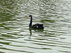 -春晖园度假酒店温泉