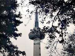 -岳麓山风景名胜区