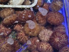 -黑石礁酒楼·海鲜(黑石礁店)