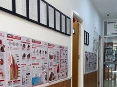 -宠福鑫动物医院(望京分院)