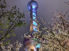 -东方明珠广播电视塔