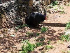 -昆明动物园