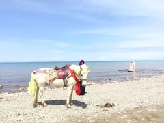 -青海湖国家重点风景名胜区售票处