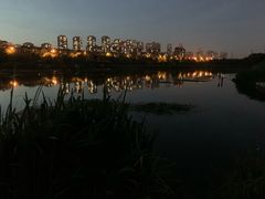 -前关湿地公园