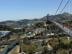 -西霞口神雕山野生动物世界