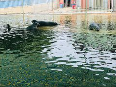 -渔岛海洋度假区