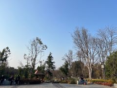 -东湖落雁景区