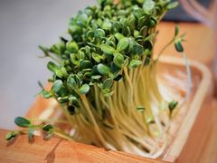 -阳坊胜利涮羊肉(阳坊总店)
