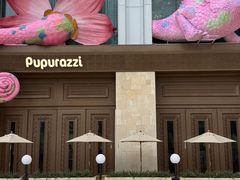 -帕帕拉兹宠物(亚洲旗舰店)