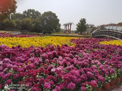 -上海月湖雕塑公园
