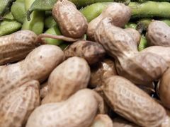 花生毛豆-杨记玉喜龙虾肥蛤(文东店)