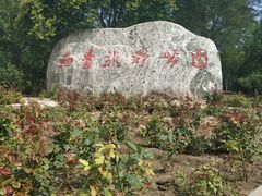 -西青郊野公园
