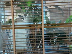 -1861意大利餐厅(来福士店)