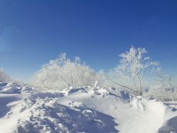 -大秃顶子山