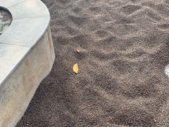 -三江森林温泉度假区