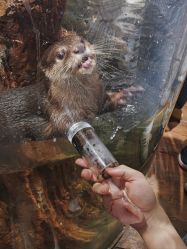 -Zoolung Zoolung动物主题公园(海信广场店)