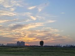 -汉长安城未央宫国家考古遗址公园