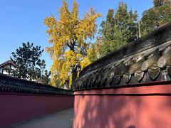 -宝光寺