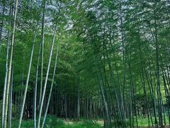 -南北湖风景区