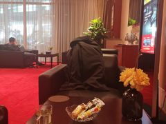 -郑州新郑国际机场T2航站楼-贵宾厅B区