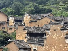 -杨家堂村