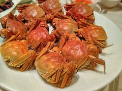 帝王蟹-顺峰海鲜酒楼(省府店)