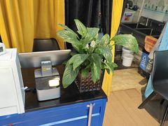-萨朗刀克冰淇淋雪花凉(植物园店)