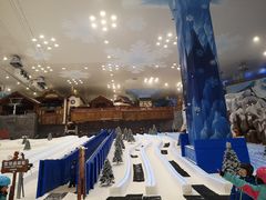 -长沙湘江冰雪世界