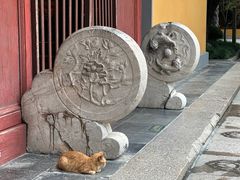 -龙华素斋(龙华路店)