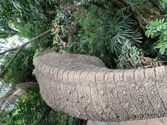 -青青世界