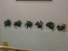 -动物缘宠物医院·骨科·猫科(西二环店)