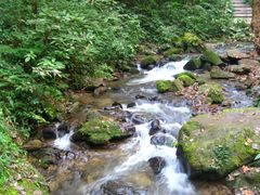 -莫里热带雨林景区