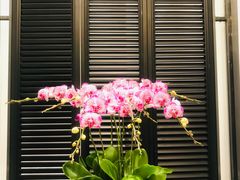 -城南往事(滨江世茂店)
