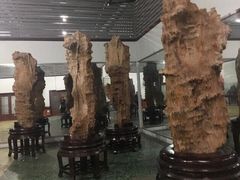 -游龙石文化科普馆