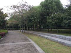 -蠡湖大桥公园