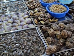 -板桥海鲜广场(文明东店)