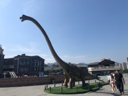 -恐龙探索乐园(磁器口店)