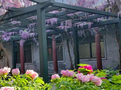 -北京市劳动人民文化宫(太庙)