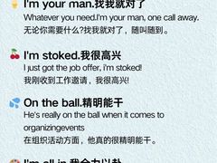 -菠萝国际教育留学·AL·IG·IB·AP·雅思托福(静安校区)