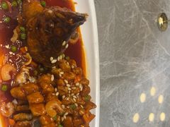 -老绍兴养和饭店(向阳不夜城店)