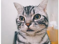 -美迦爱-牙专科·兔科·骨科诊疗中心(北苑店)