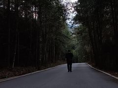 -姑婆山旅游区