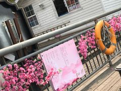 -金鸡湖桃花岛