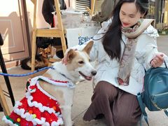 -佛山京华广场MALL