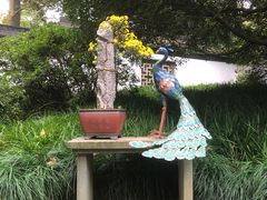 -杭州植物园
