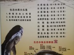 -水库河鲜村