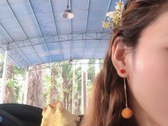 -广东茂名森林公园